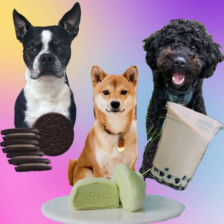 15 Unique Food-Inspired Dog Names Everyone Will Love – Slice.ca