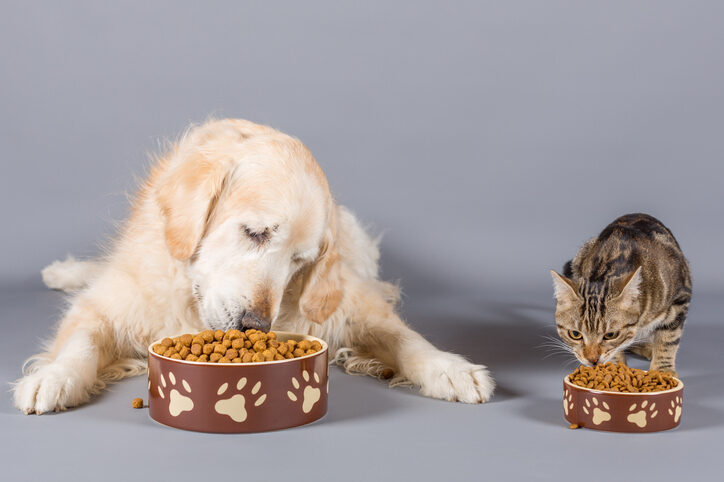 Pet food sales and costs are off the leash – ConsumerAffairs