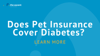 Diabetes Coverage and Pet Insurance | The Ascent – The Motley Fool