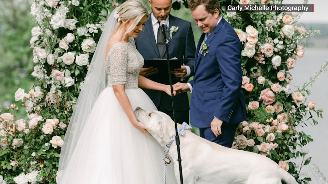 Wedding-crashing dog has hilarious mic-drop moment – CNN