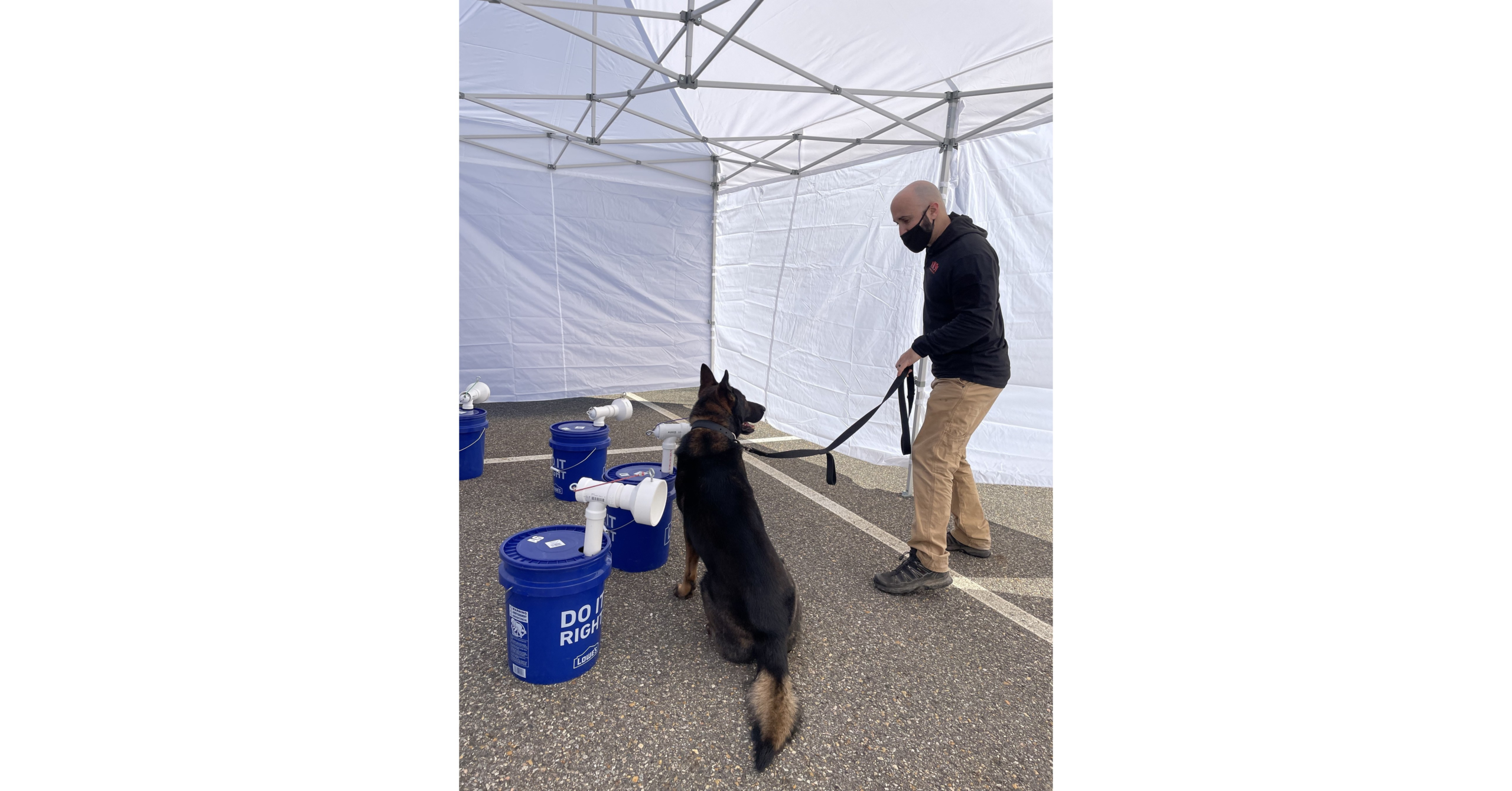 MozaicID Partners with AK9I™ to Deploy K9 Covid Testing Solution – PR Newswire