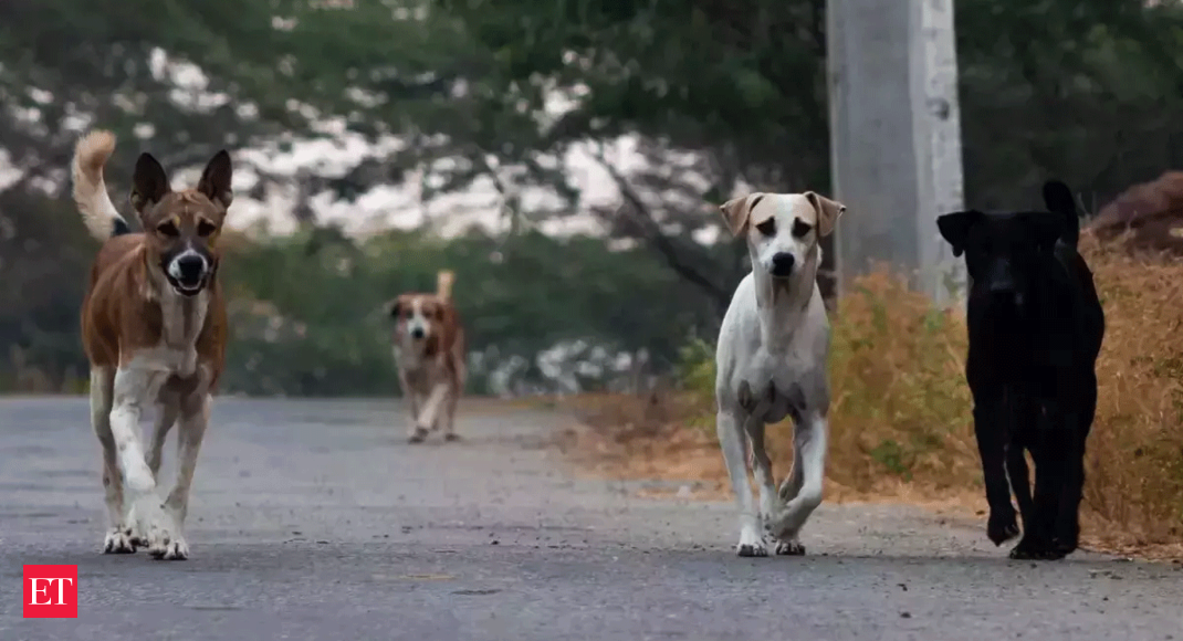 Caught on camera: Two students narrowly escape pack of stray dogs in Kerala's Kannur – Economic Times