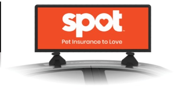 Spot Pet Insurance Drives NYC Business Forward in Partnership with Lyft Media – PR Newswire