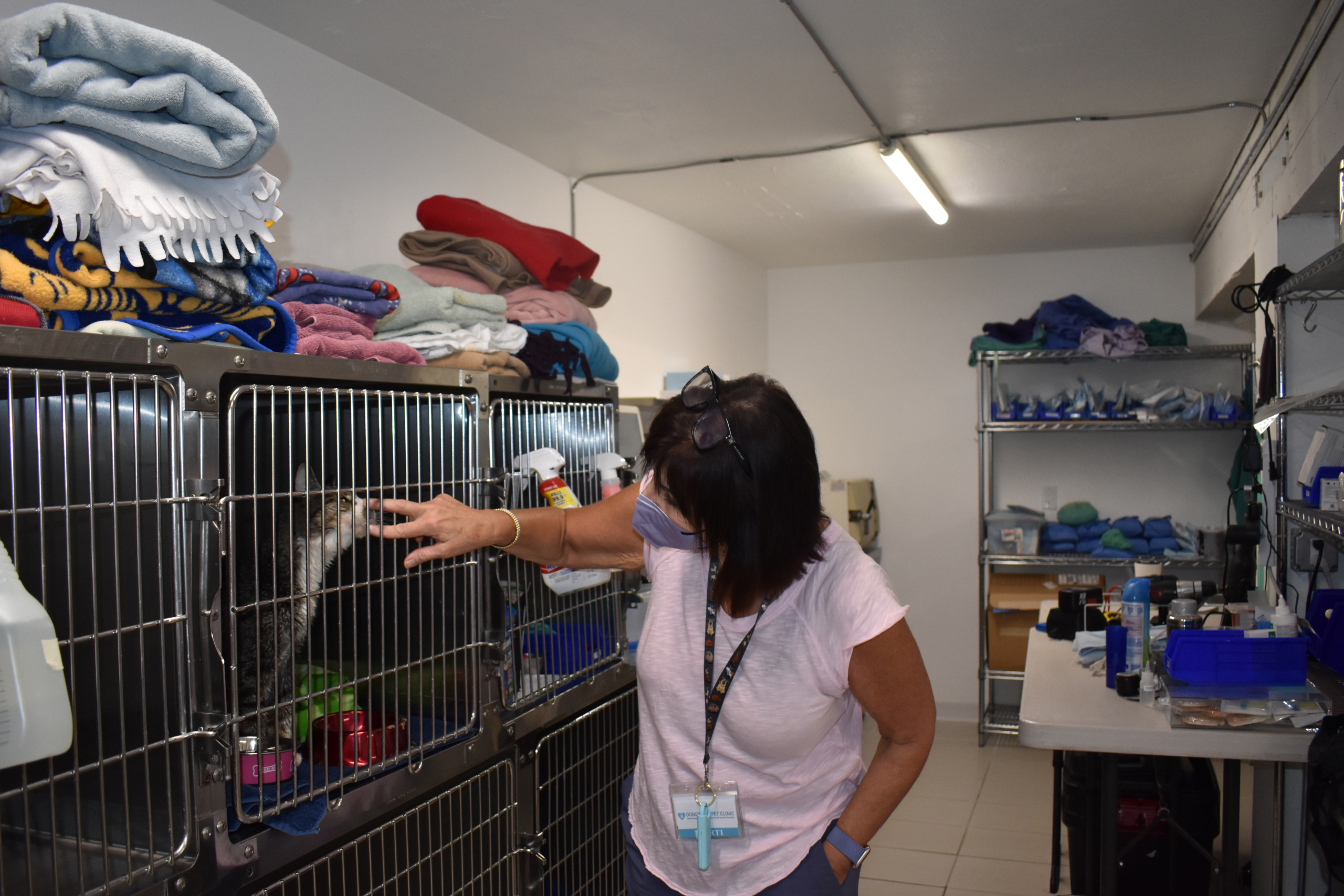 Doney Coe Pet Clinic finds a forever home on Third Avenue – Real Change News