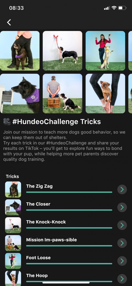 Pet tech startup, Hundeo, starts TikTok challenge to keep dogs out of shelters – EIN News