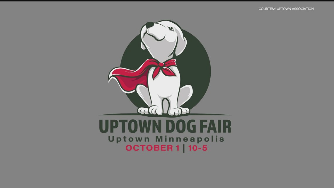 All paws welcome at Uptown Dog Fair – KARE11.com