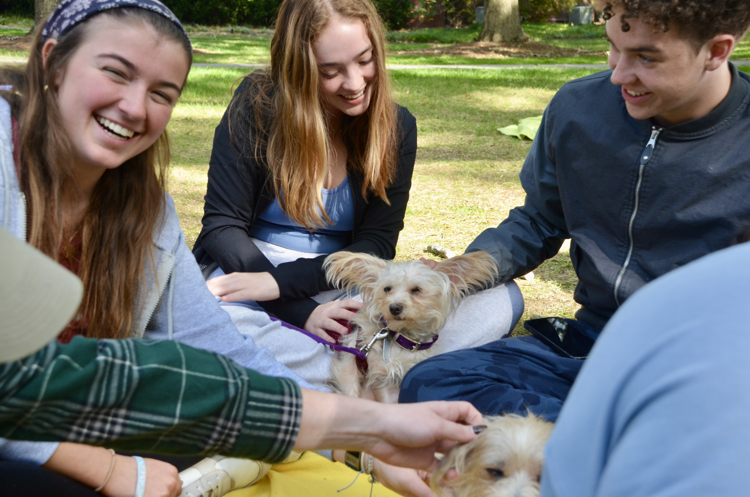 Students relieve stress and anxiety at pet therapy event – Today at Elon