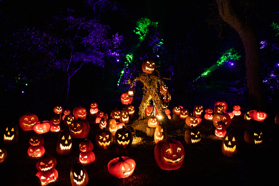 Big List of Things To Do For Halloween in L.A. [2022] – We Like L.A.