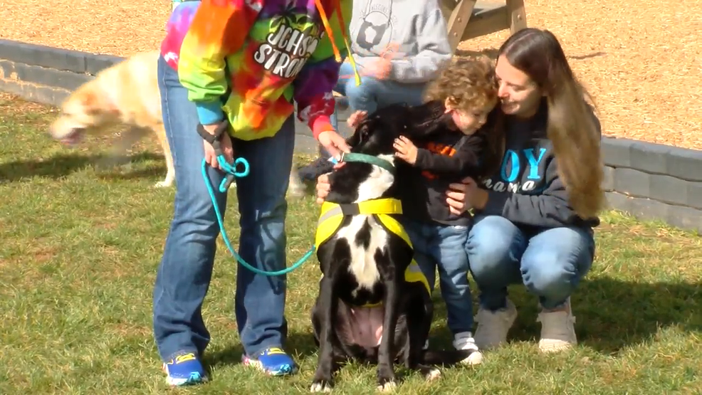 'Bark in the Park' hoping to help local animal shelters – WTOV Steubenville