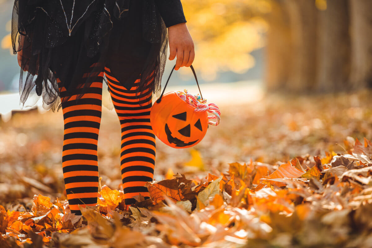 Celebrate Halloween: 10 things to do in October in the Bronx – Bronx Times – Bronx Times