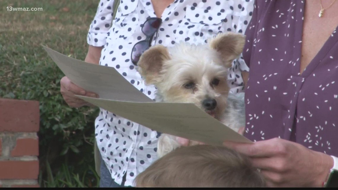 'We love all His creations': Macon pets get special blessing at Saint Paul's Episcopal Church – 13WMAZ.com