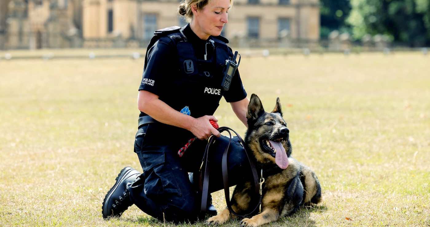 Police Dog That Saved 38 Lives During 8-year Career is Honored for Bravery–And Now Gets to Play on the Beach – Good News Network