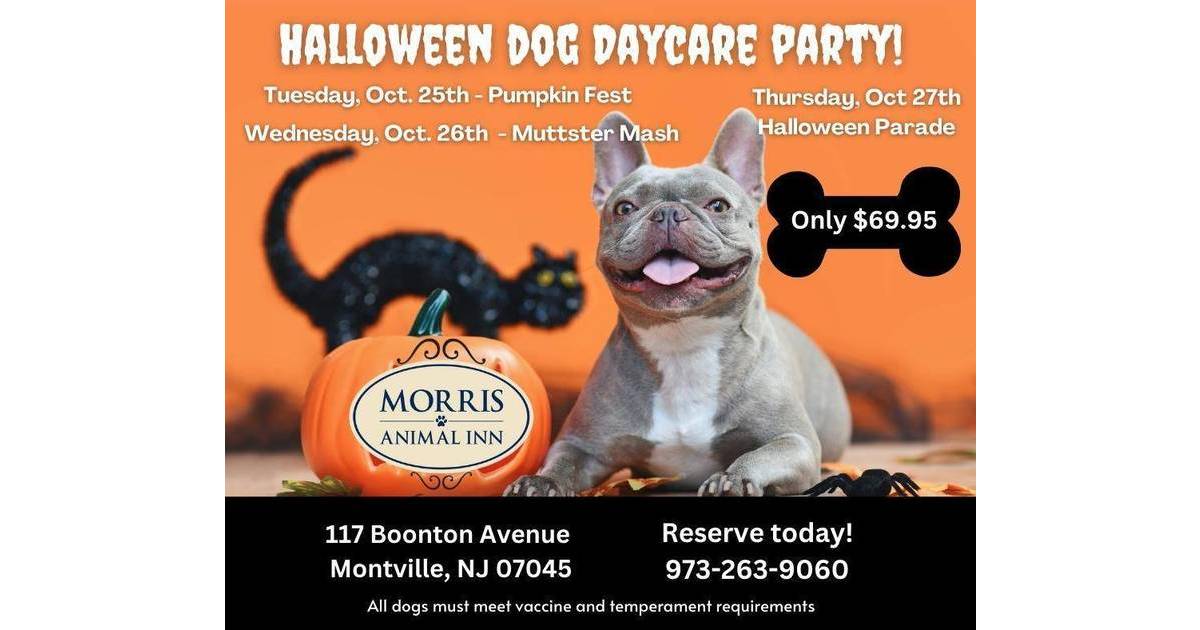 Halloween Dog Daycare Party! | Montville, NJ News TAPinto – TAPinto.net