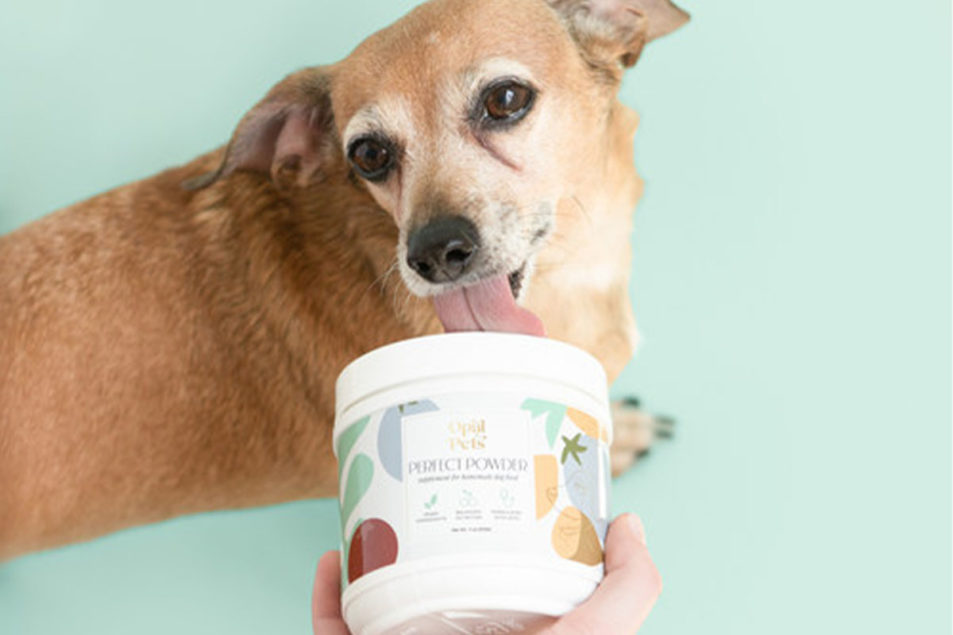 Opal Pets launches vegan dog supplement – Pet Food Processing