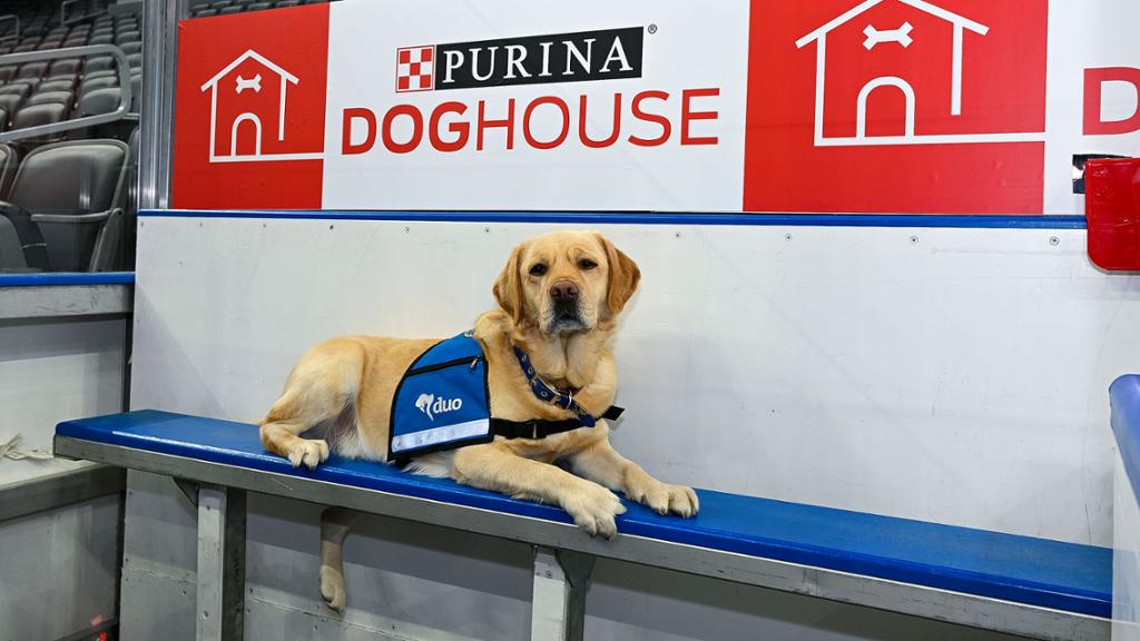 Blues reveal Purina Doghouse penalty box for 2022-23 season – NHL.com