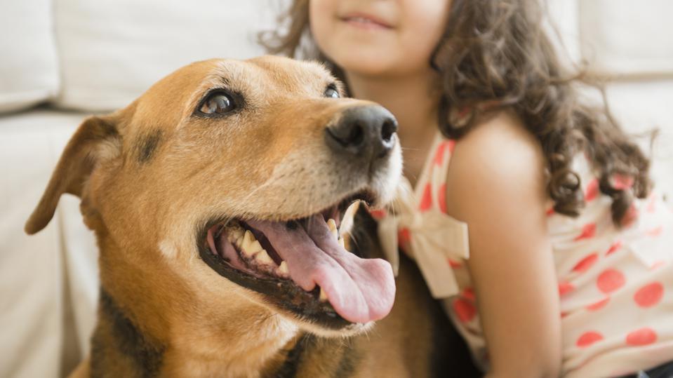 Best Pet Insurance In New Jersey (NJ) 2022 – Forbes Advisor – Forbes