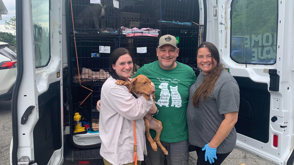 Road Trip Home Rescue brings rescued animals from South to Maine – NewsCenterMaine.com WCSH-WLBZ