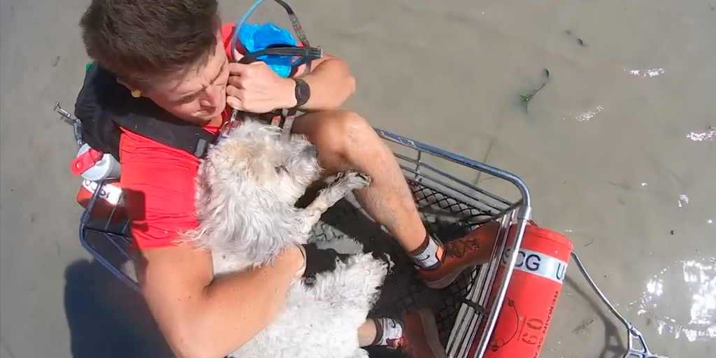 Watch: Coast Guard rescues dog, Ian victims from floodwater – Fox Weather