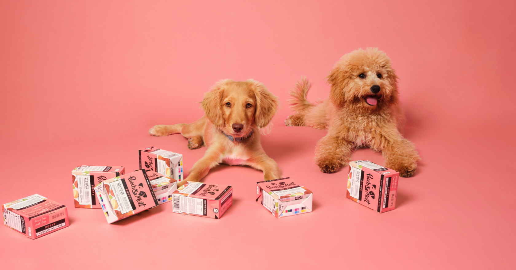 Win a year's supply of dog food from Pooch & Mutt – Stylist Magazine