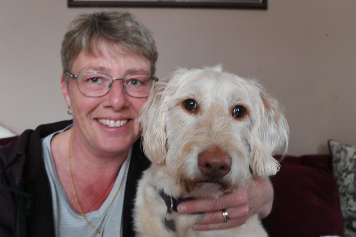 ‘Her kneecaps kept coming out’: Peterborough Labradoodle owner desperate to raise funds for dog’s life-changing operation – Peterborough Telegraph