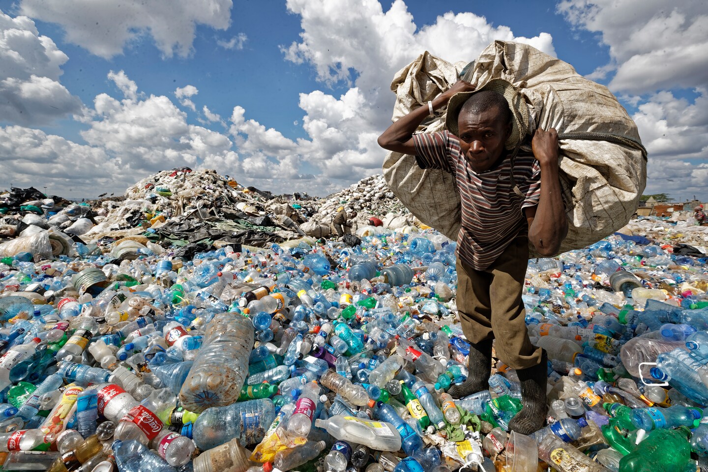 Perspective | There's good reason to worry about the health risks of plastics – The Washington Post