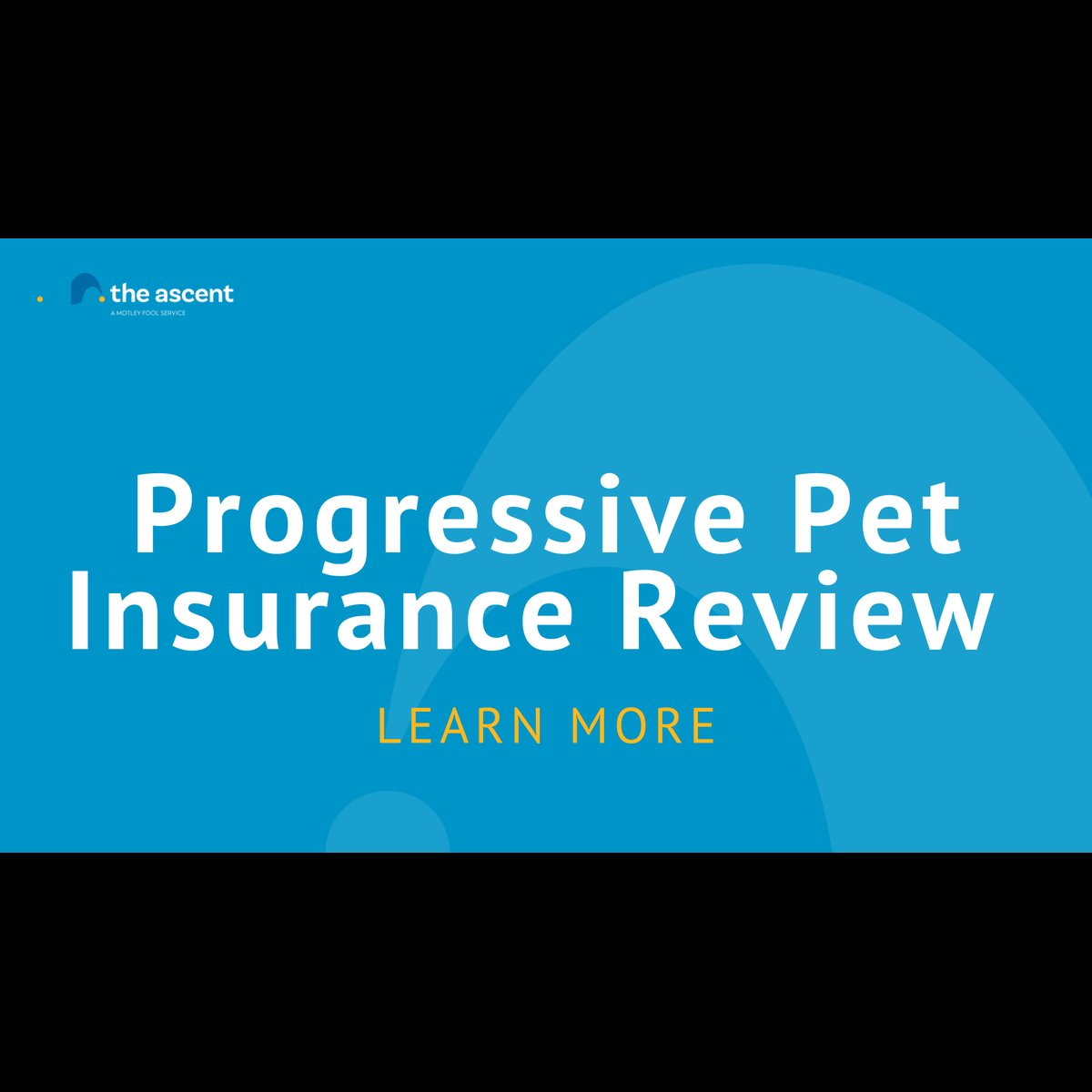 Progressive Pet Insurance Review | The Ascent – The Motley Fool