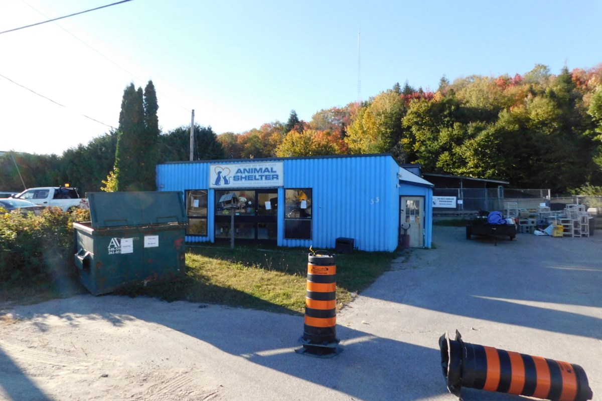 Elliot Lake SAD animal shelter closed and seeking new home – ElliotLakeToday.com