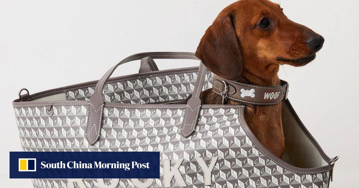 Why luxury brands are cashing in on rich millennial pet owners – Style