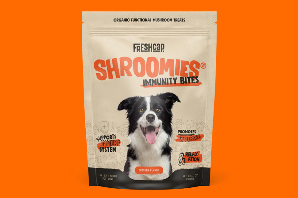 Supplement company enters pet space with mushroom treats – Pet Food Processing