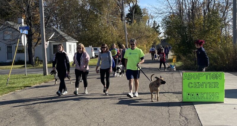 On a short leash: Annual dog walk benefits the humane society – Evening Observer