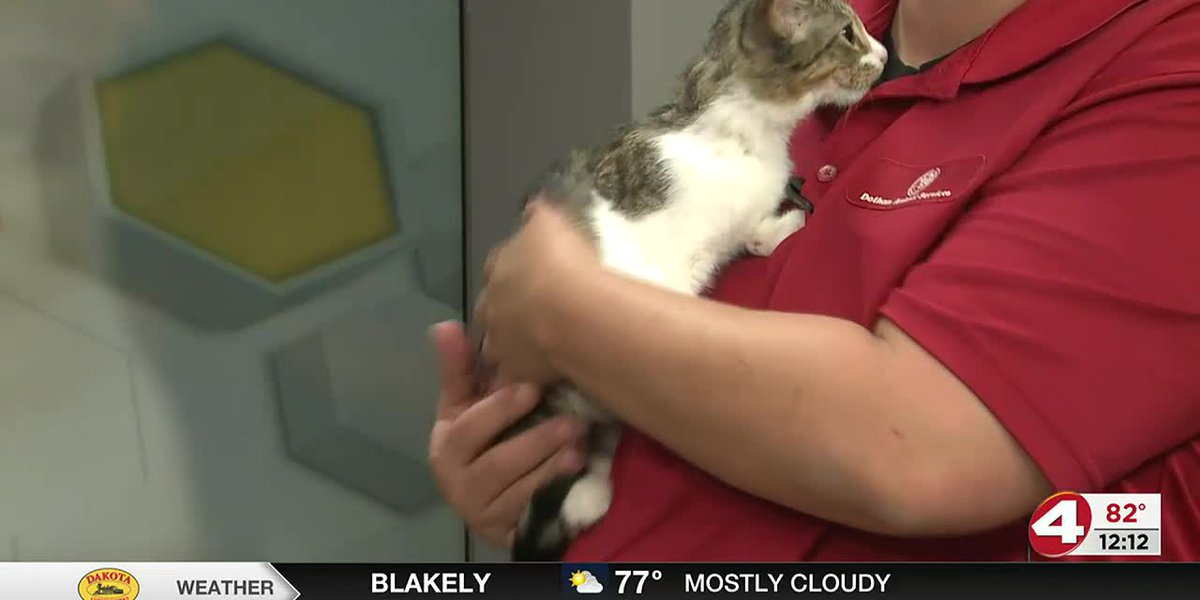 Pet of the Week: Incredible Isaac – WTVY