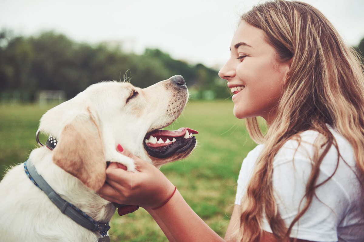 5 money-saving ways to keep your pets (and wallet) healthy and happy – SooToday