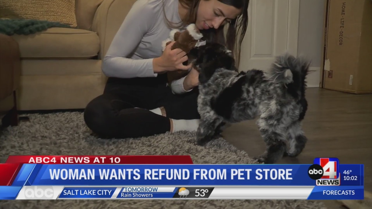 Provo woman wants refund from pet store after receiving DNA test – ABC4.com