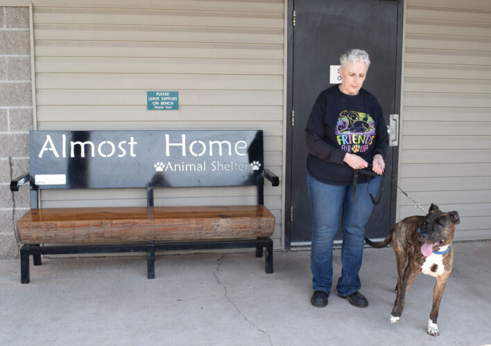 A haven for homeless animals | News, Sports, Jobs – The Daily news – Iron Mountain Daily News