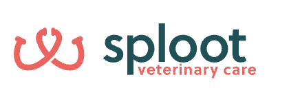 Sploot Veterinary Care shares clinic expansion plans in Denver – DVM 360