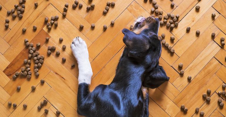 BrightPet Buys Frozen and Freeze-Dried Pet Food Maker – Powder Bulk Solids