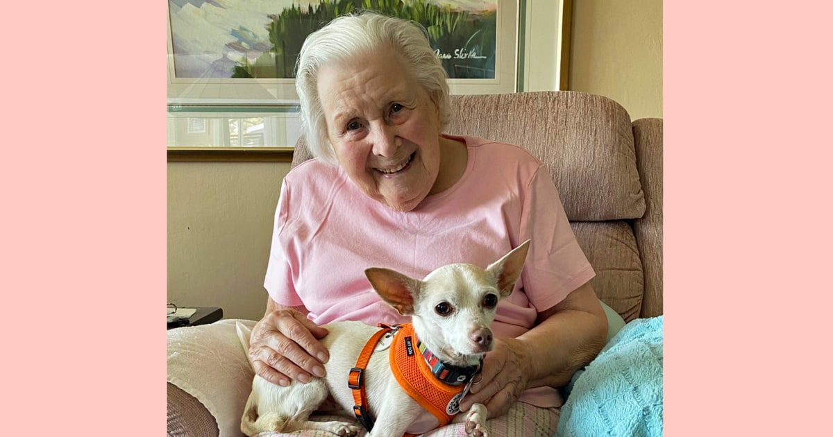 100-Year-Old Woman Adopts 11-Year-Old Senior Dog in Perfect Match – TODAY