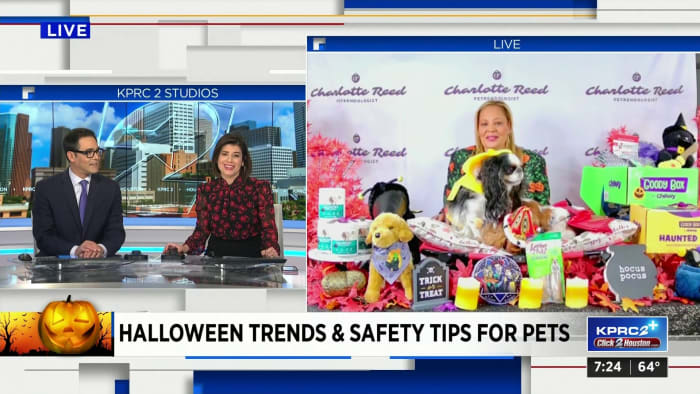 How to Halloween safely, but cutely, with your pets – KPRC Click2Houston