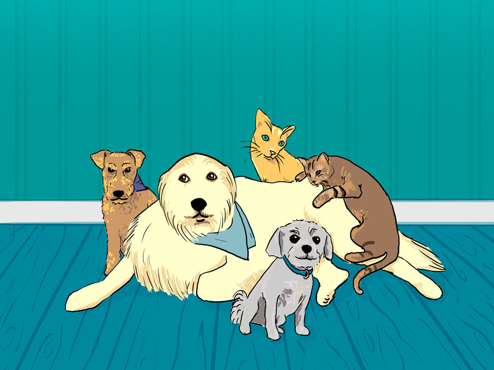 CancerCare aids cancer patients in caring for their pets It’s only fair—didn’t Misho, Sully, Franklin, and Lily pitch in to help their humans? – The Cancer Letter