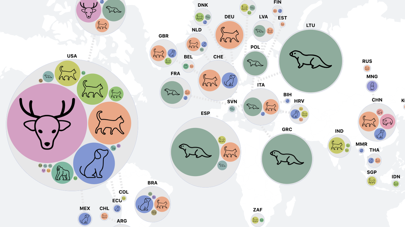 First global tracker of animals who caught COVID has gaps — but is still helpful : Goats and Soda – NPR