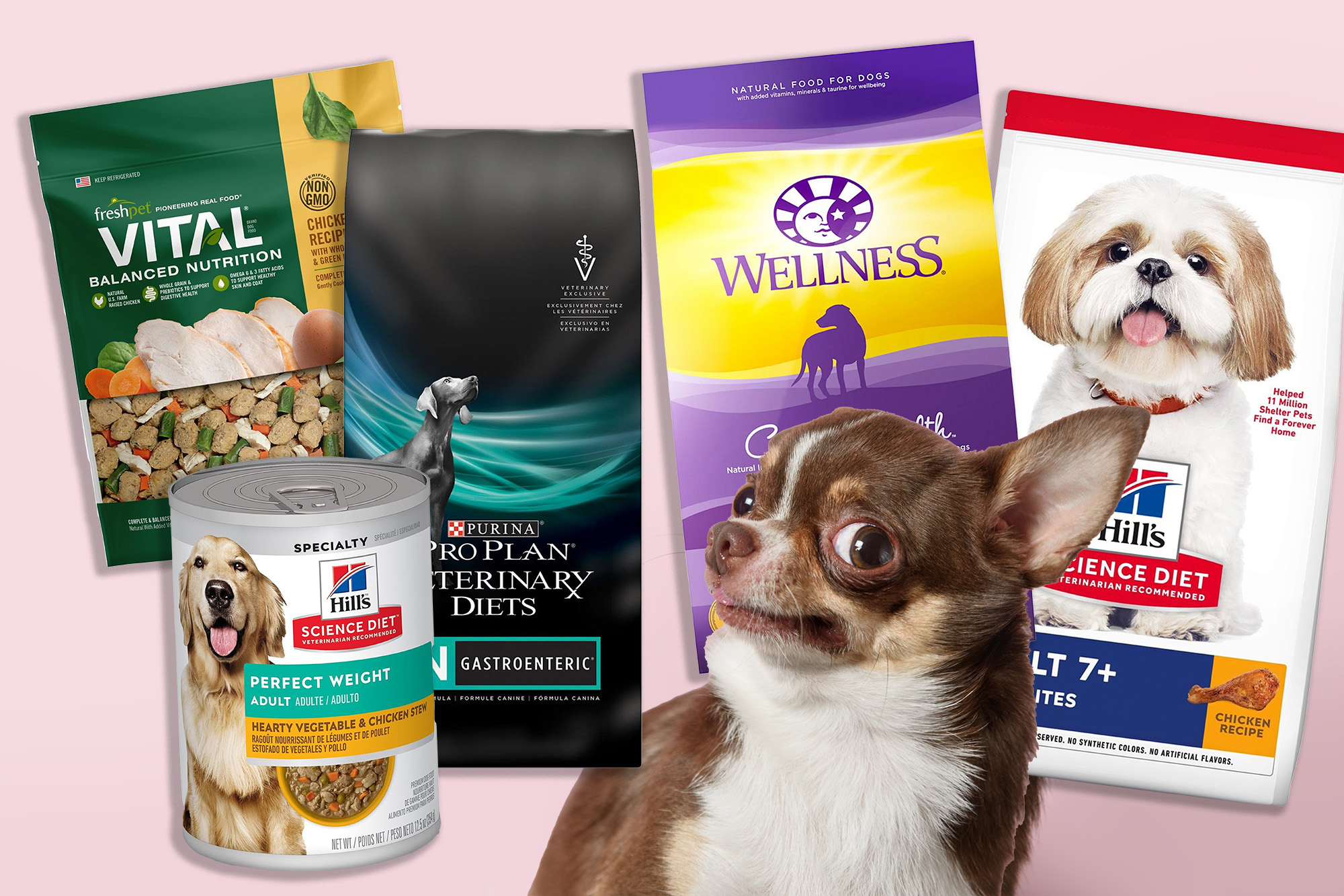 Veterinarians share the 13 best dog food brands for every pup in 2022 – New York Post