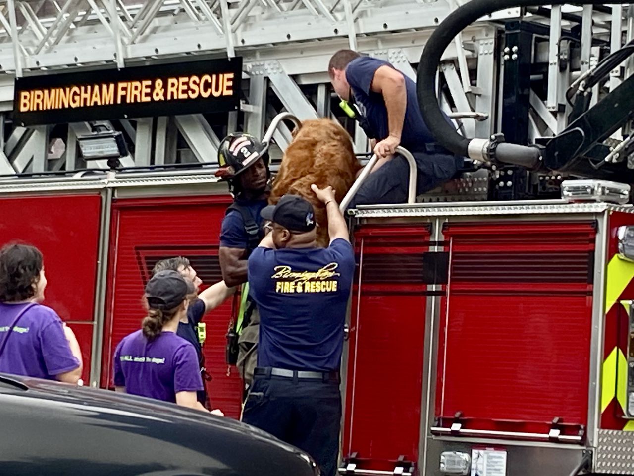 Chemical odor evacuates Dog Days of Birmingham; employees sickened, animals rescued from roof – AL.com