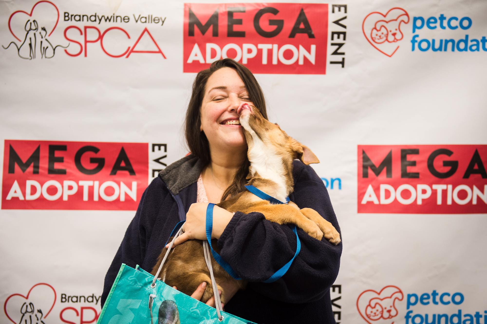 Houston mega pet adoption event: 14 shelters, rescues participating – Houston Chronicle