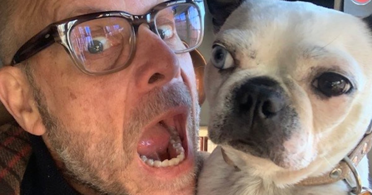 Alton Brown went on a diet with his dog (and tried her dog food) – TODAY