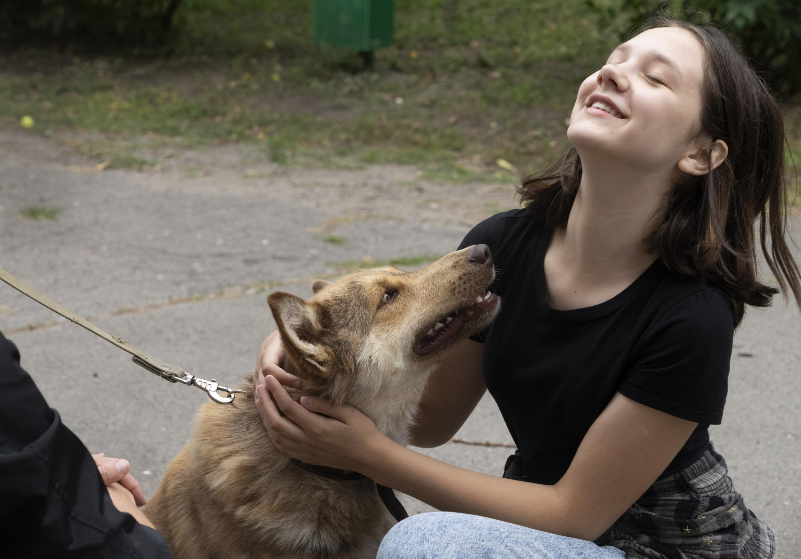 Shelter in Ukraine's capital takes in animals haunted by war – The Associated Press – en Español