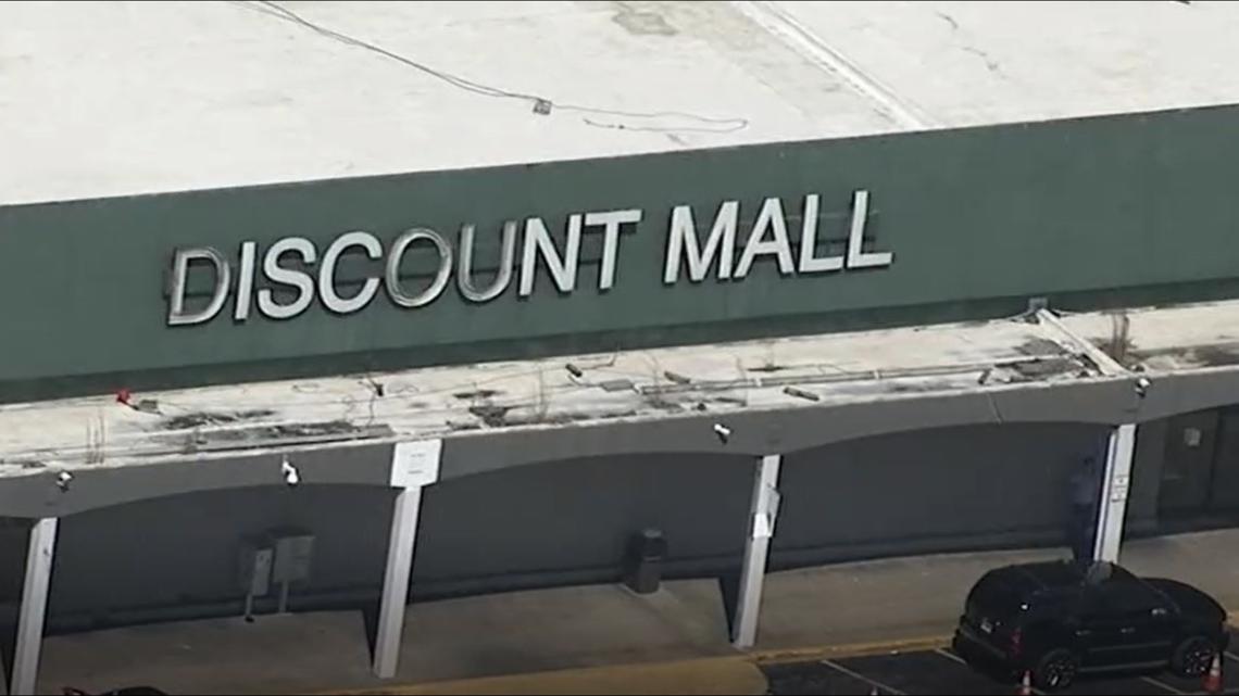 Dog, newborn rescued from car at Discount Mall in Atlanta, police say – 11Alive.com WXIA