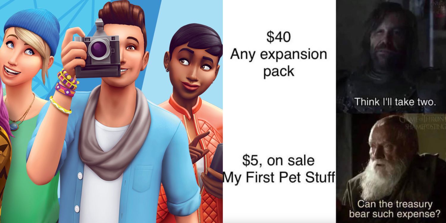 The Sims 4: 10 Memes That Sum Up The Sims – Screen Rant