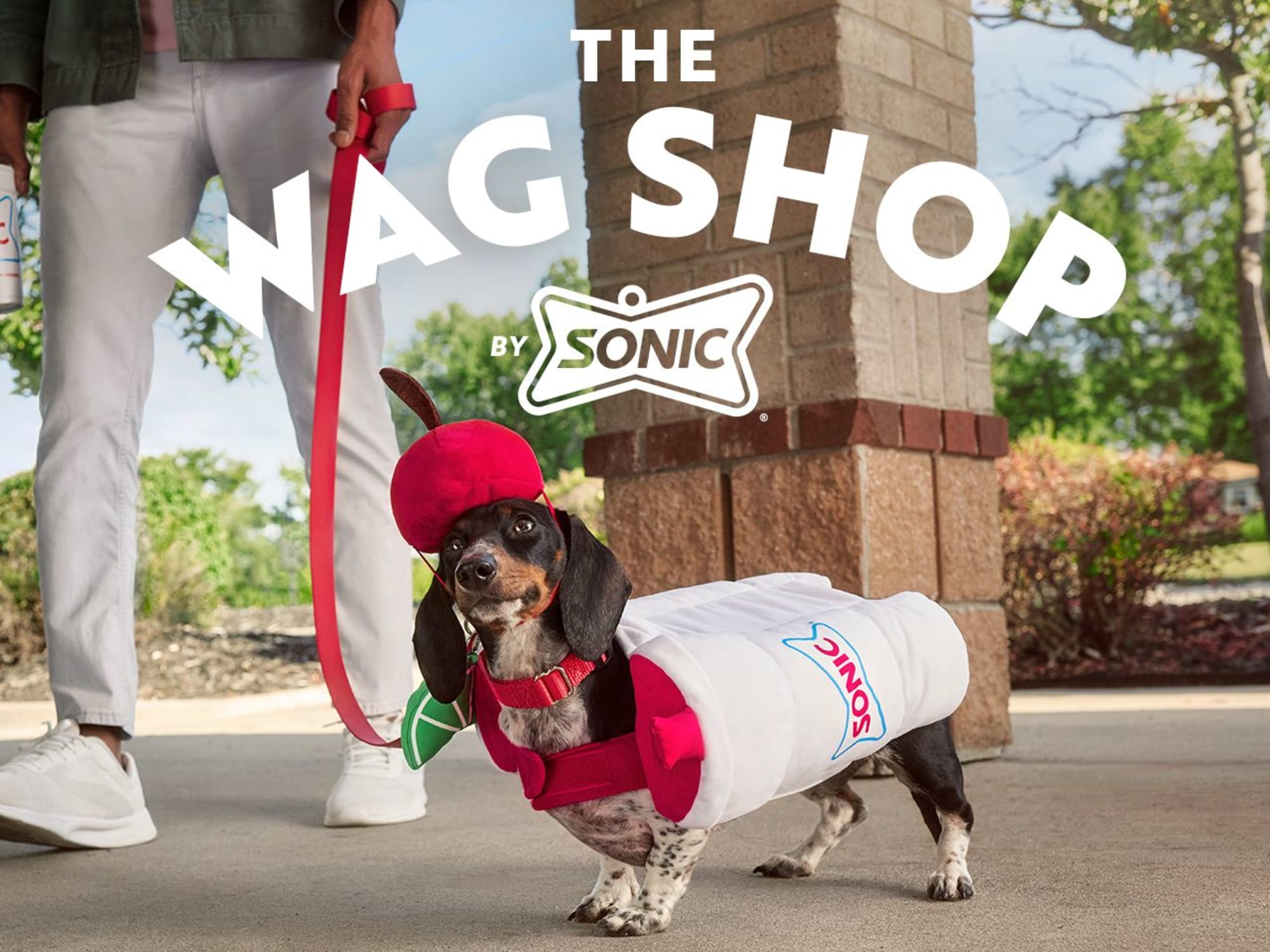 SONIC launches new pet merch at Wag shop – Dog of the Day