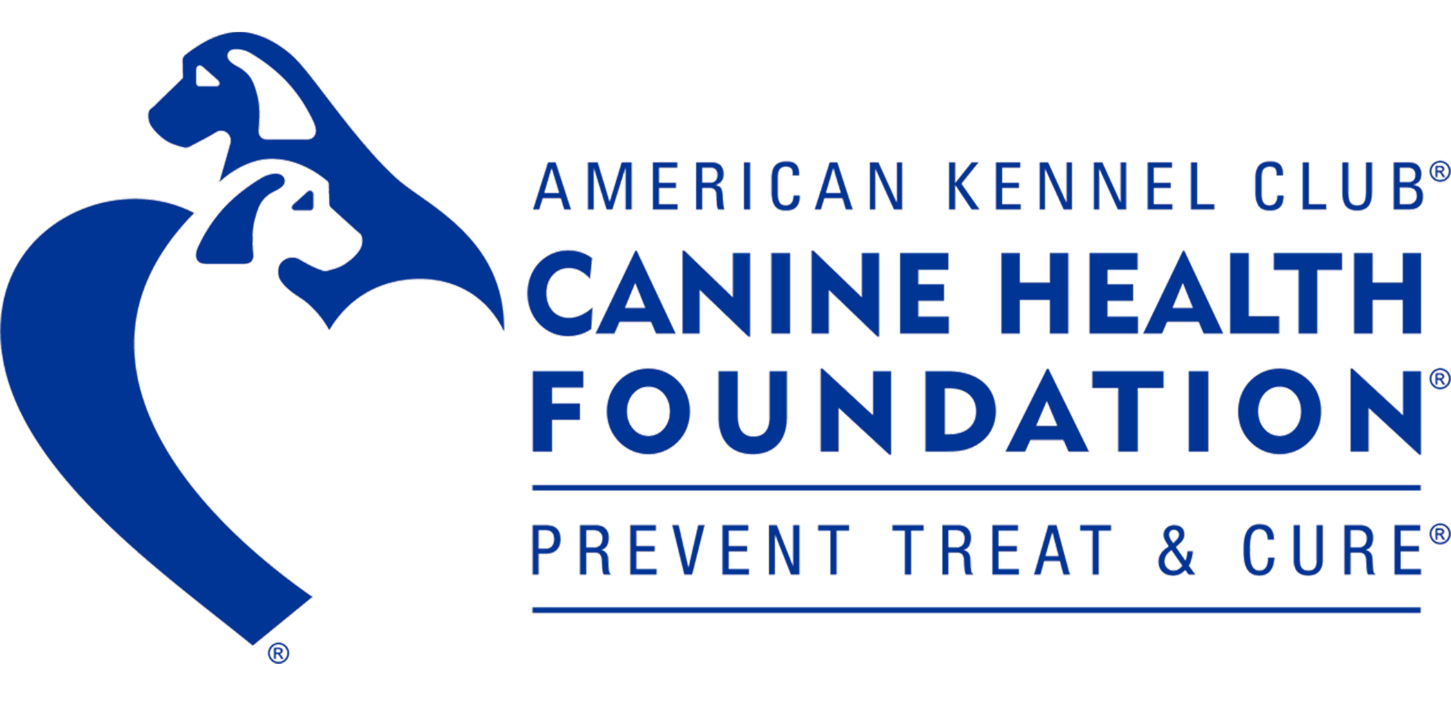 AKC CHF Funds New Studies to Benefit the Canine Athlete – Canine Chronicle |