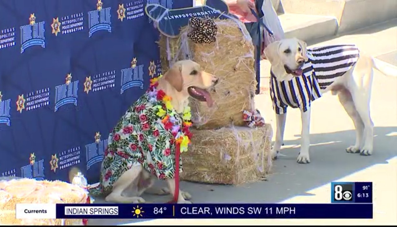 Las Vegas Metropolitan Police Department Foundation hosts 2nd annual Howl-O-Ween Dog Parade – KLAS – 8 News Now